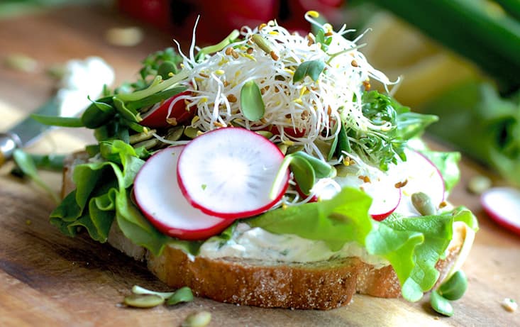 Macka med örtkräm & groddar - LantGoda - Recept | Pågen